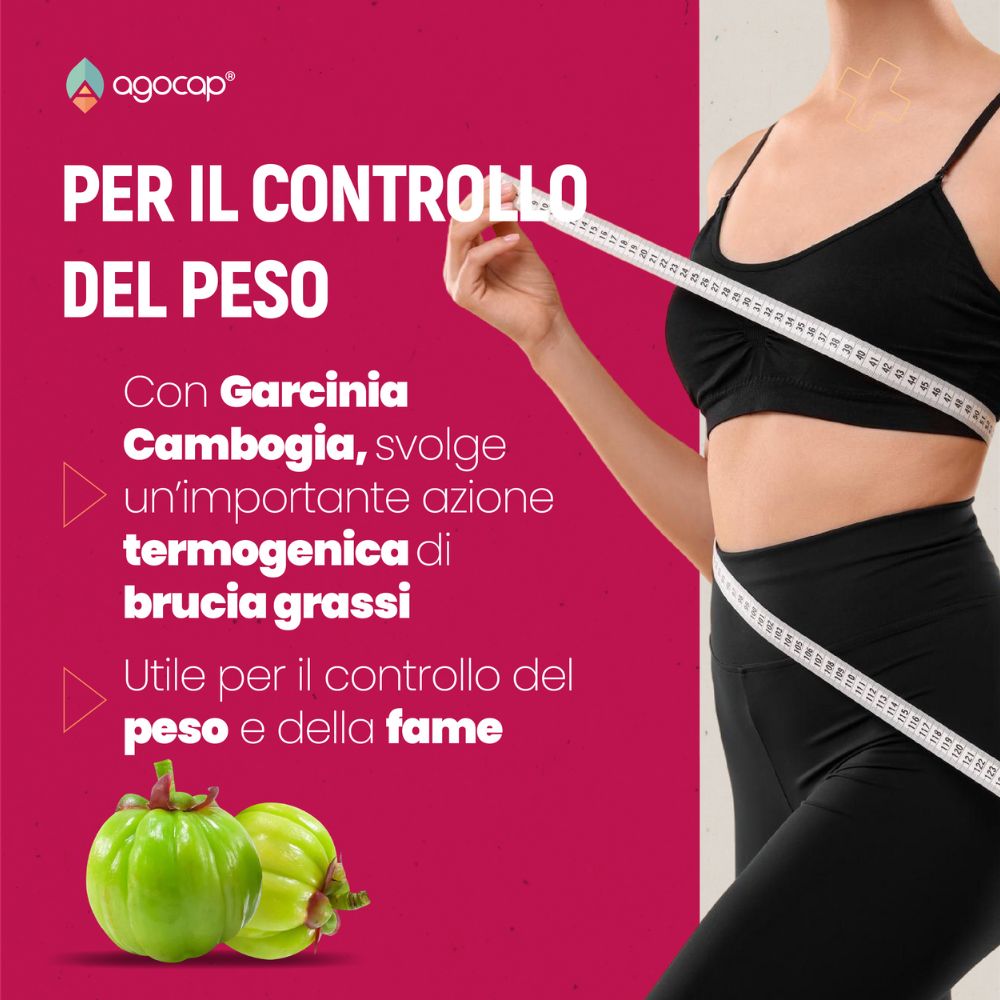 Isovamp | Integratore per menopausa con Isoflavoni di Trifoglio Rosso e Cimicifuga