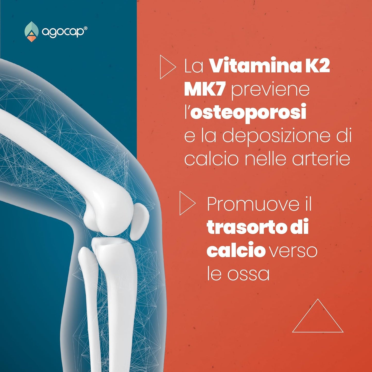 Vitamina K2 MK7 200 mcg | Integratore per Ossa e Sistema Cardiovascolare
