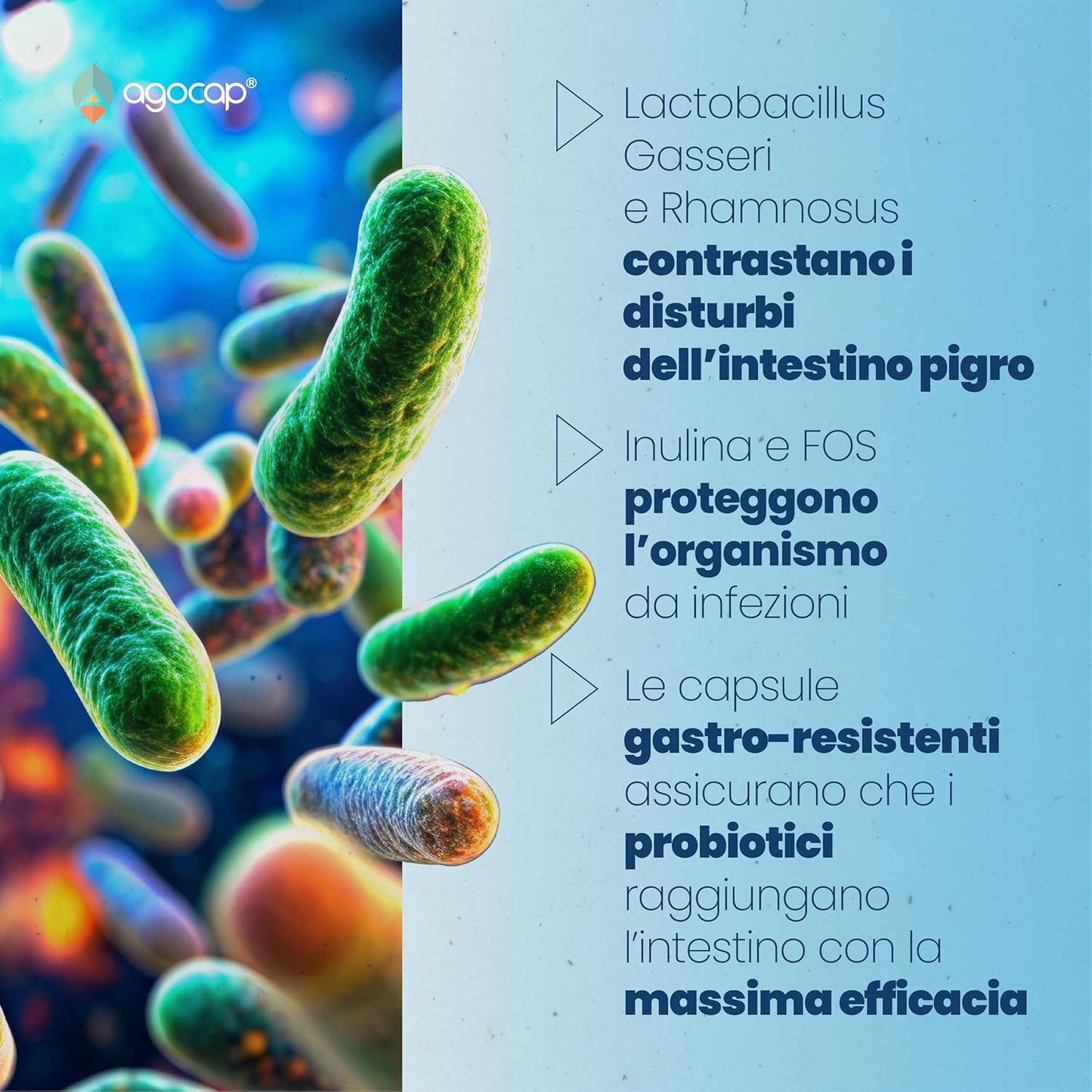 ProLactic | Fermenti lattici e prebiotici per l’equilibrio della flora intestinale