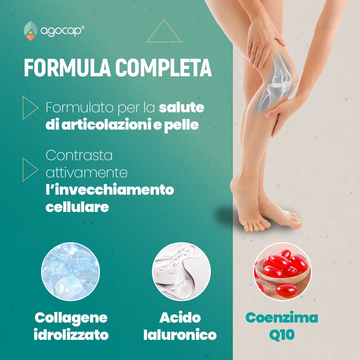 Collagenaid | Integratore per articolazioni, tendini e pelle con Collagene, Acido Ialuronico e Coenzima Q10