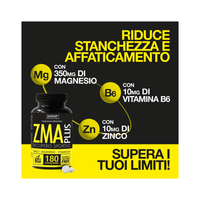 ZMA ad alta concentrazione - Integratore per recupero sportivo e aumento del testosterone